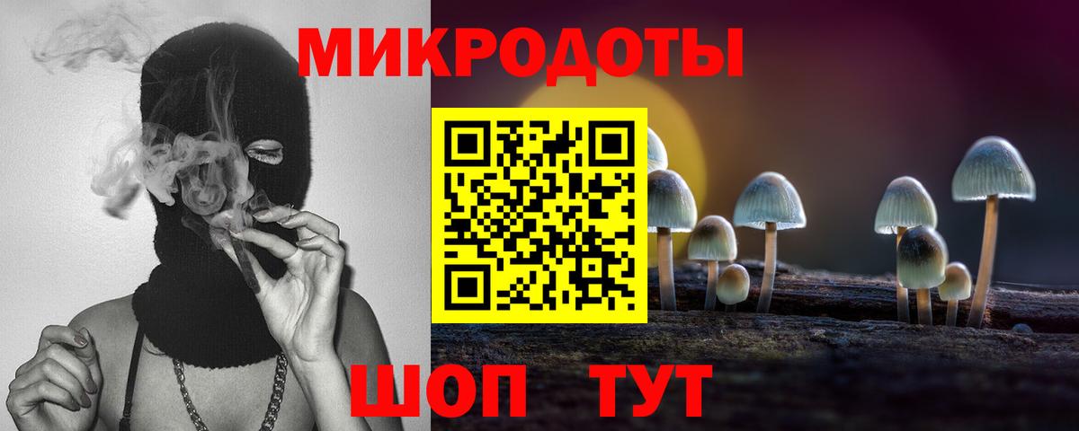 Сыктывкар  Галлюциногенные грибы Cubensis  Вход с VPN 